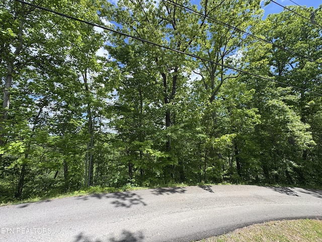 1806 High View Ct, Sevierville, TN 37876 - photo 3