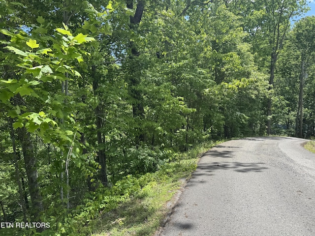 1806 High View Ct, Sevierville, TN 37876 - photo 2