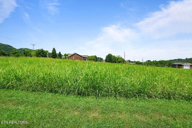 Richardson Ln, Lafollette, TN 37766 - photo 10