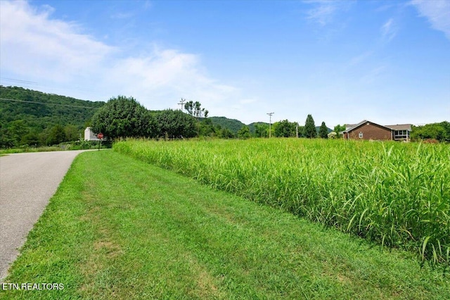 Richardson Ln, Lafollette, TN 37766 - photo 11