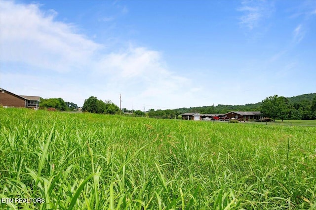 Richardson Ln, Lafollette, TN 37766 - photo 12