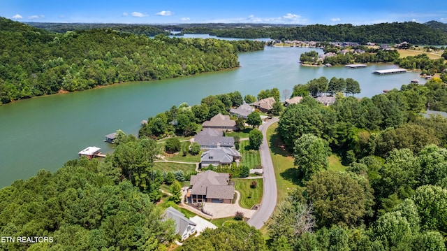 300 Marsh Hawk Dr, Vonore, TN 37885 - photo 53