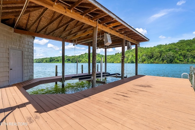 300 Marsh Hawk Dr, Vonore, TN 37885 - photo 52