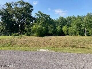 LOT36 Lanis Rd, Baxter, TN 38544 - photo 1