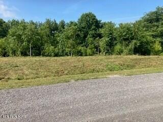 LOT36 Lanis Rd, Baxter, TN 38544 - photo 4
