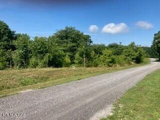 LOT36 Lanis Rd, Baxter, TN 38544 - photo 5
