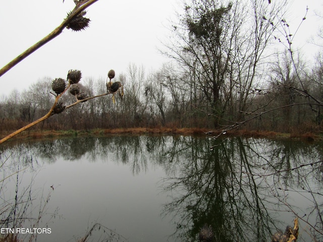 LOT36 Lanis Rd, Baxter, TN 38544 - photo 6