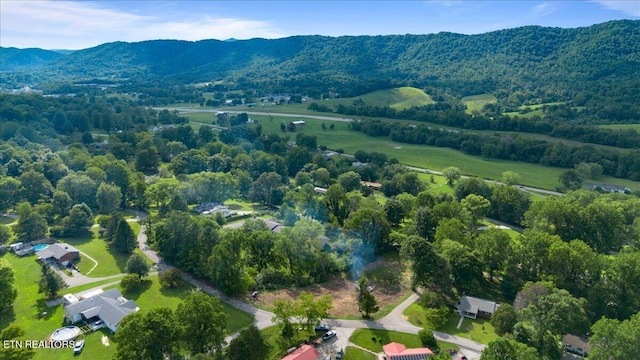 Lilac Dr, Lafollette, TN 37766 - photo 7