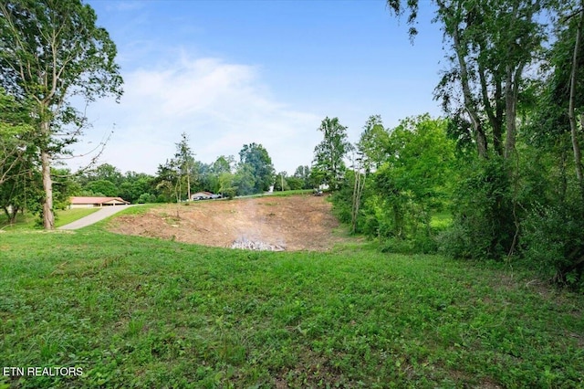 Lilac Dr, Lafollette, TN 37766 - photo 11