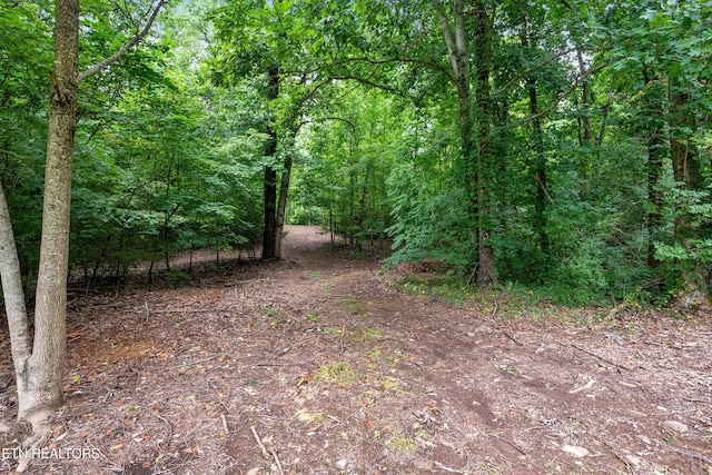 910 English Mountain Rd, Cosby, TN 37722 - photo 4