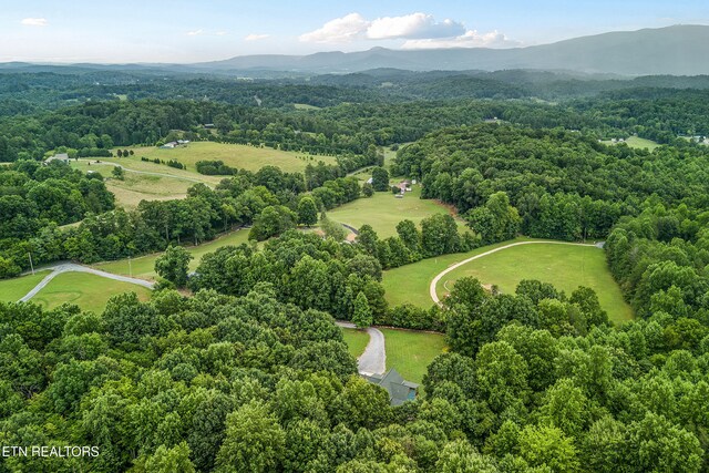 910 English Mountain Rd, Cosby, TN 37722 - photo 7