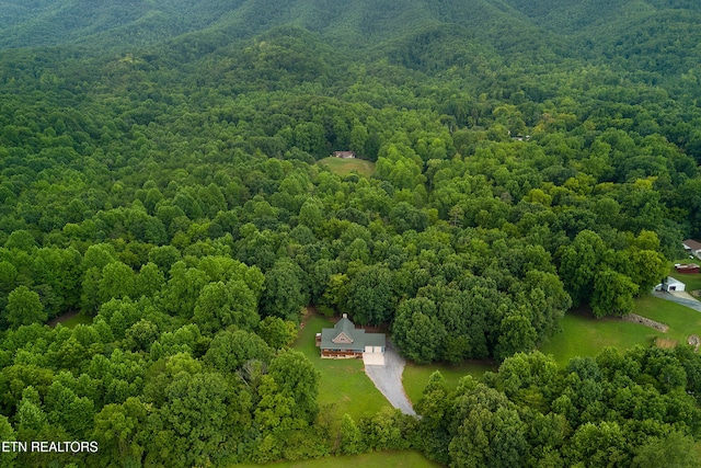 910 English Mountain Rd, Cosby, TN 37722 - photo 8