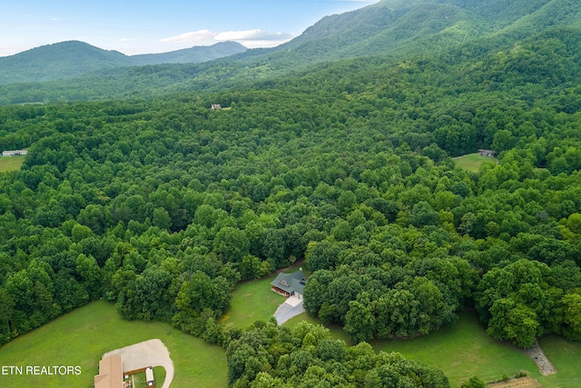 910 English Mountain Rd, Cosby, TN 37722 - photo 9
