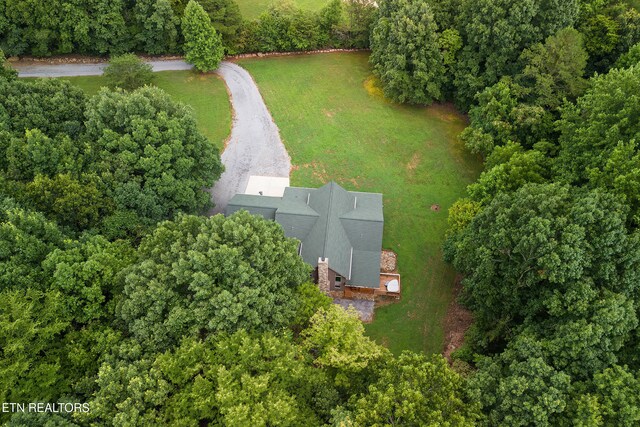 910 English Mountain Rd, Cosby, TN 37722 - photo 10