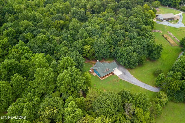 910 English Mountain Rd, Cosby, TN 37722 - photo 14
