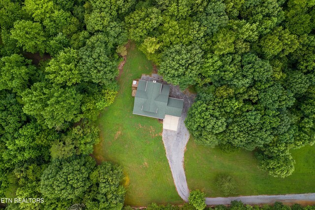 910 English Mountain Rd, Cosby, TN 37722 - photo 16
