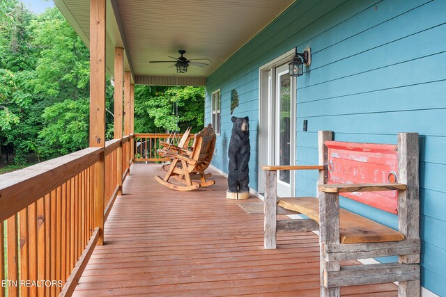 910 English Mountain Rd, Cosby, TN 37722 - photo 18