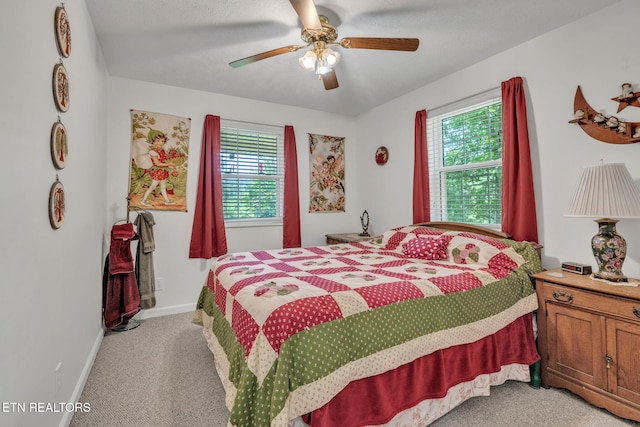 170 Duckett Ridge Rd, Tellico Plains, TN 37385 - photo 19