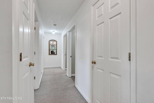 170 Duckett Ridge Rd, Tellico Plains, TN 37385 - photo 15