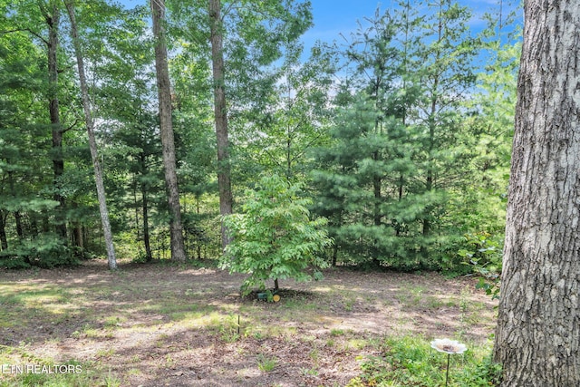 170 Duckett Ridge Rd, Tellico Plains, TN 37385 - photo 41