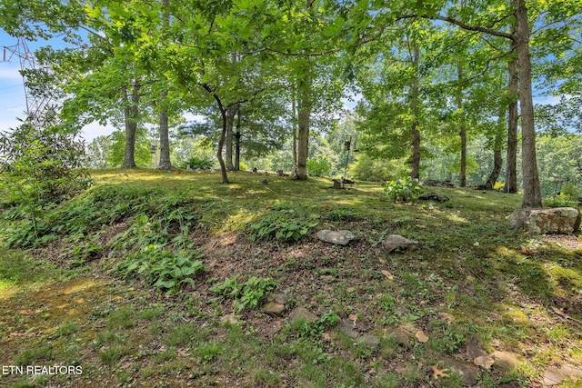 170 Duckett Ridge Rd, Tellico Plains, TN 37385 - photo 47