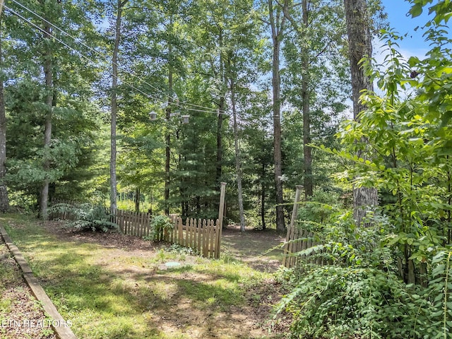 170 Duckett Ridge Rd, Tellico Plains, TN 37385 - photo 48