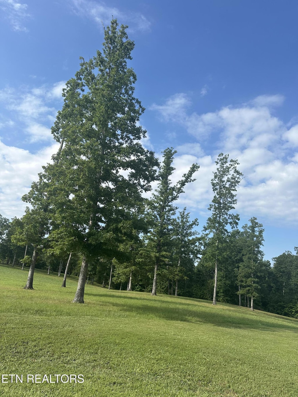Bluff View Lp, Crossville, TN 38571 - photo 1