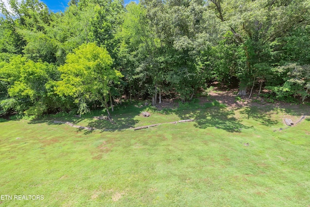 123 Cove Springs Dr, Dandridge, TN 37725 - photo 29