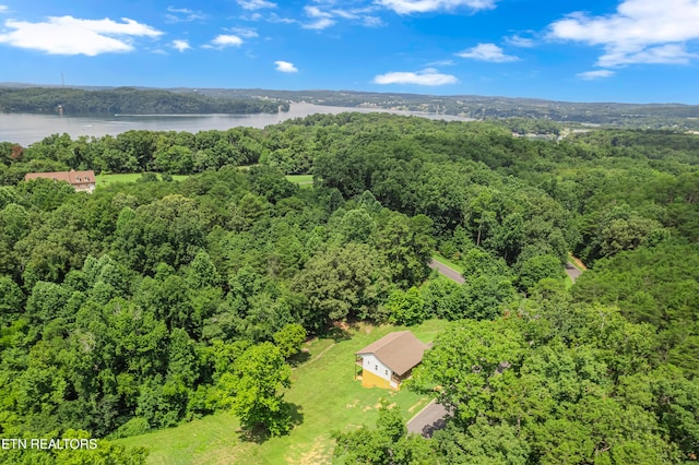 123 Cove Springs Dr, Dandridge, TN 37725 - photo 32