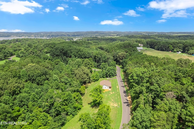 123 Cove Springs Dr, Dandridge, TN 37725 - photo 33
