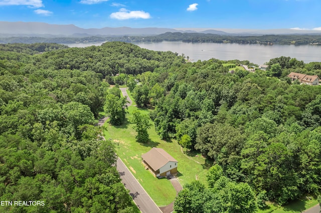 123 Cove Springs Dr, Dandridge, TN 37725 - photo 4