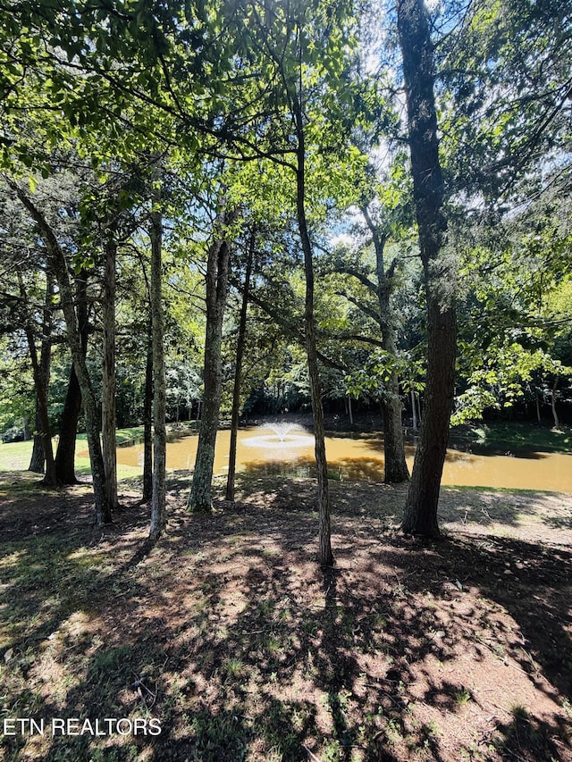 123 Cove Springs Dr, Dandridge, TN 37725 - photo 37