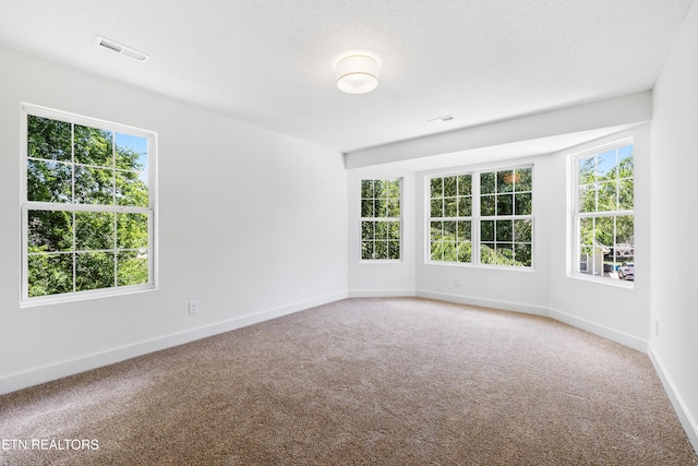 157 W Watt St, Alcoa, TN 37701 - photo 20