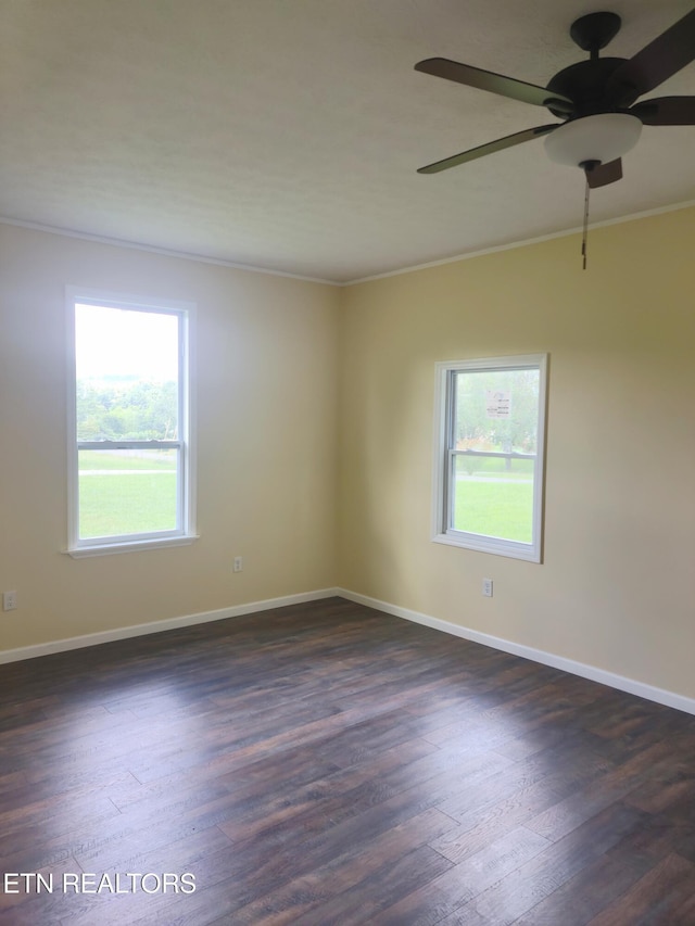 103 Susack Ln, Wartburg, TN 37887 - photo 8