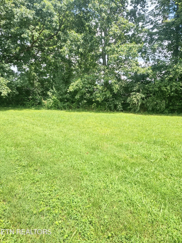 103 Susack Ln, Wartburg, TN 37887 - photo 21