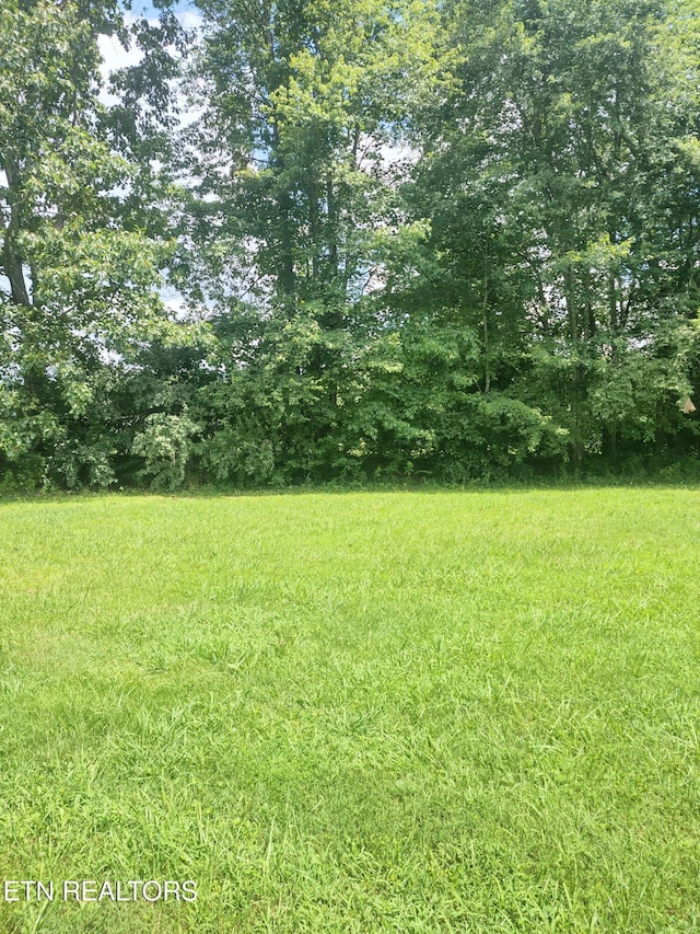 103 Susack Ln, Wartburg, TN 37887 - photo 22