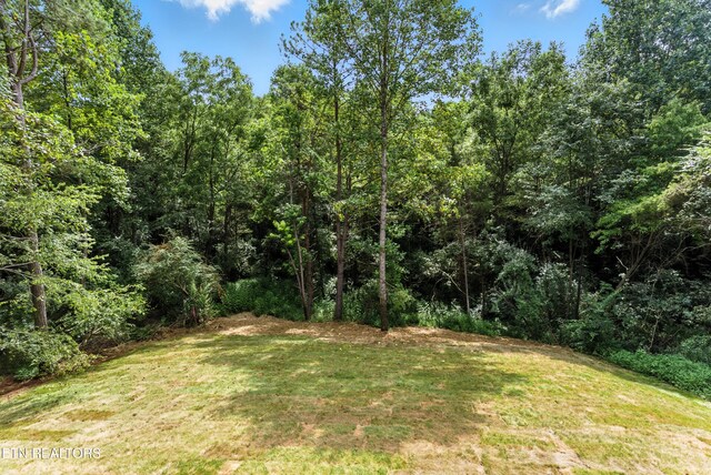 118 Amohi Way, Loudon, TN 37774 - photo 51