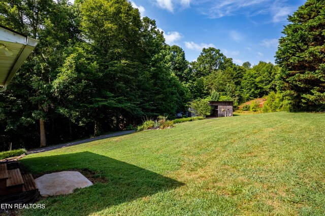 631 Abbey Way, Friendsville, TN 37737 - photo 39