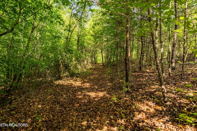 631 Abbey Way, Friendsville, TN 37737 - photo 11