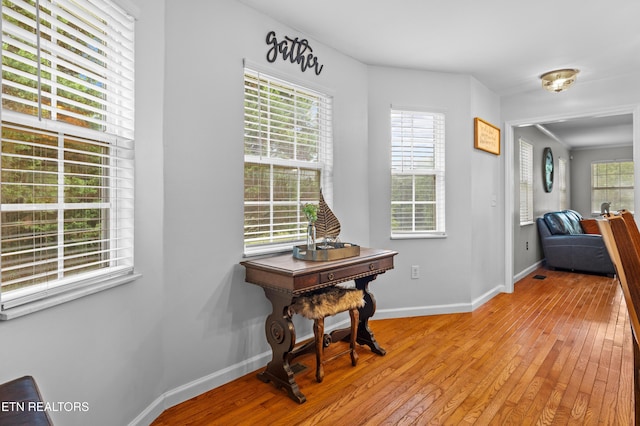 631 Abbey Way, Friendsville, TN 37737 - photo 23