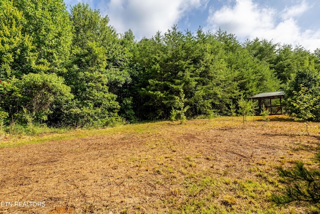 631 Abbey Way, Friendsville, TN 37737 - photo 42