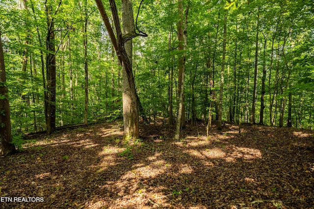 631 Abbey Way, Friendsville, TN 37737 - photo 12