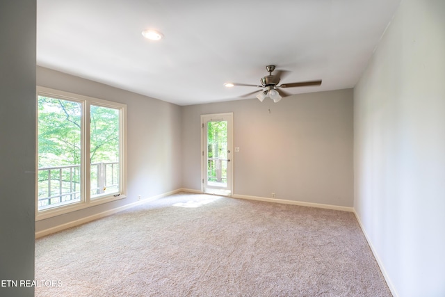 288 S Shorewood Dr, Caryville, TN 37714 - photo 39