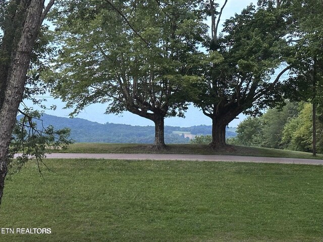 901 Kyle St, Lafollette, TN 37766 - photo 3