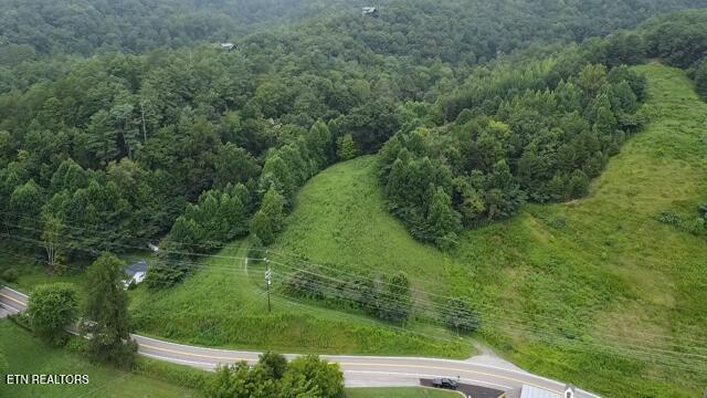 60ACRES Wears Valley Rd, Sevierville, TN 37862 - photo 3