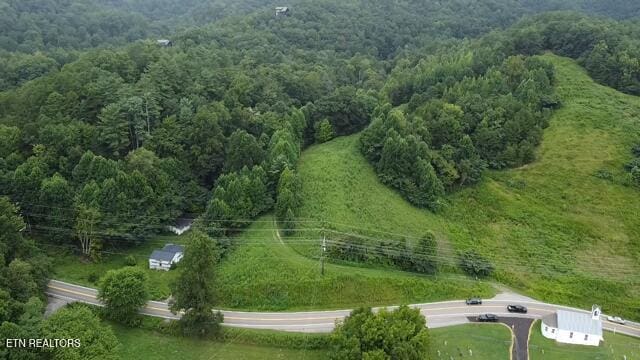 60ACRES Wears Valley Rd, Sevierville, TN 37862 - photo 4