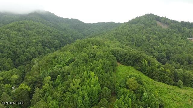 60ACRES Wears Valley Rd, Sevierville, TN 37862 - photo 5