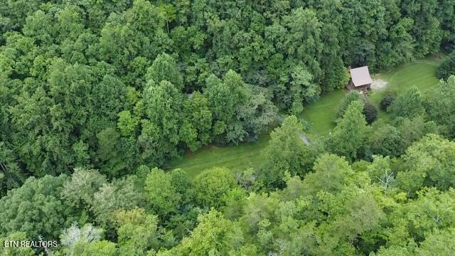 60ACRES Wears Valley Rd, Sevierville, TN 37862 - photo 6
