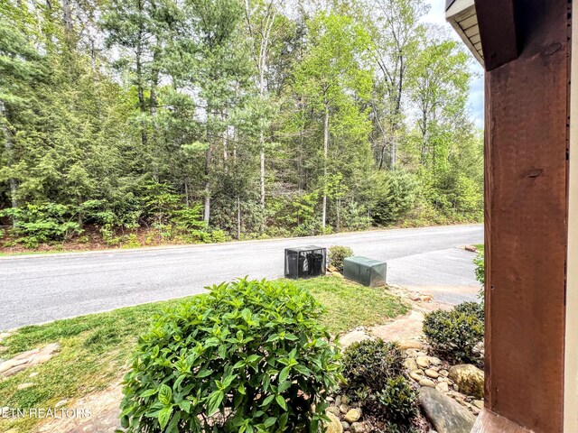 1115 Anastasia Way, Gatlinburg, TN 37738 - photo 45