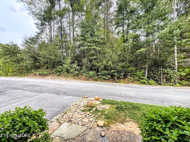 1115 Anastasia Way, Gatlinburg, TN 37738 - photo 46